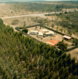 Libelula-florestal.jpg Libelula em campo